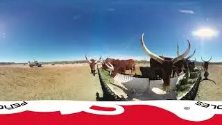 Reserva Ecologica Velarde&ntilde;a