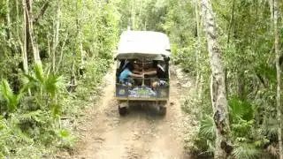 Jungle maya Truck In action