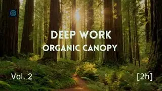 Deep Focus Background Music for Deep Work & Productivity | 2H | Vol. 2 -  Organic Canopy