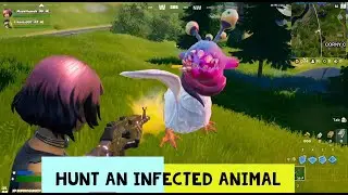 Hunt an Infected Animal - Fortnite