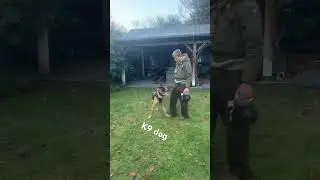 K9 dog #dog
