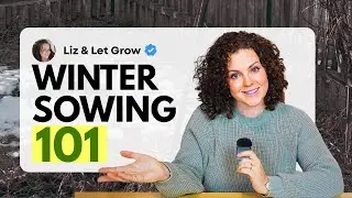 Winter Sowing for Beginners: How to Get Great Results (Step-by-Step)