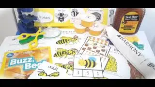 Plight of Bees Unit