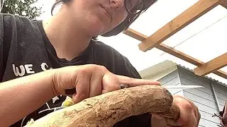 Just frilly cutting the bark off a stick…