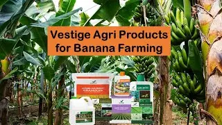 Vestige Agri Products for Banana Farming