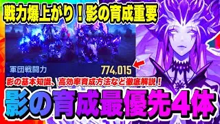 【俺アラ】影の育成最優先4体紹介！育成素材が貴重なので後悔しないよういに必ず確認しよう！！！【俺だけレベルアップな件・ARISE・公認クリエイター】