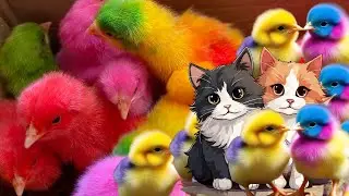 Catch chickens, colorful chickens, ducks, cats, roosters, cute rabbits, lobsters, guinea pigs, fish