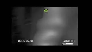 What is this?! A grey alien? Reptilian? Private footage from 2015 released.
