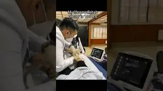My life as a Rehab Doctor in 15 seconds #physiotherapy #rehabilitation #doctor