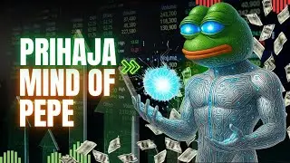 🚨Lansiranje Mind of Pepe na borze že v tem tednu! 💥🤖🚀💰