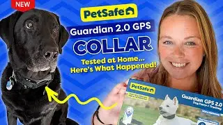 PetSafe Guardian 2.0 GPS Collar: No More Stressful Yard Patrols