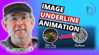 Divi Theme Image Underline Animation On Hover 👍