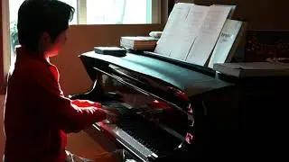 Wenyu Shen plays Railway Guerrillas - Strumming My Beloved Earth Guitar soft Version
