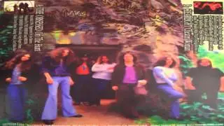 The Mystick Krewe of Clearlight - Cheatin' Woman  [Skynyrd Cover] [HD]