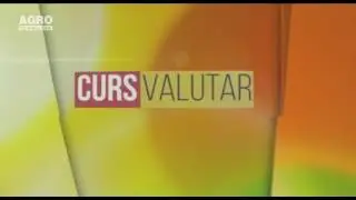 Cursul valutar 31.03.2017