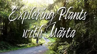 Exploring Edible Plants with M&auml;rta * Lady's Mantle, Red Clover. Moss, Boletus, Meadowsweet