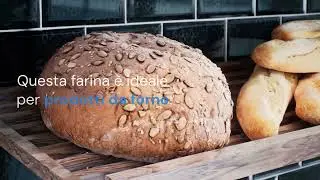 BONGIOVANNI FARINE E BONTA' NATURALI Farina di Cicerchie 1Kg BIO