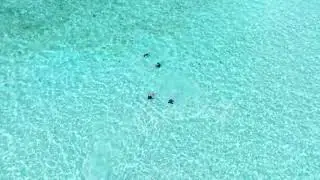 Serene Drone Journey Over Balabac&rsquo;s Turquoise Seas and Sandy Islands | Balabac Video