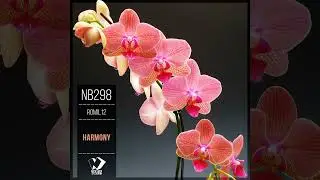 Romil12 - Harmony (Original Mix)