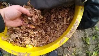 WORX, TRIVAC, PRO LEAF collection system, and efficiency test