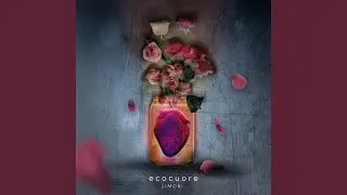 EcoCuore