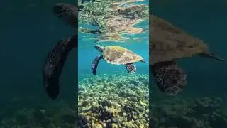 MUST VISIT AFRICAN COUNTRY!