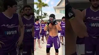 The main favorites ALF GLOBAL REALITY #manis #mma #edit #alfglobal #ufc #boxing #fight
