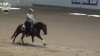 Novice Horse Open (142) Lars Nebel & Too Smart To Spook