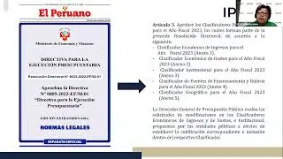 LOS CLASIFICADORES PRESUPUESTARIOS.