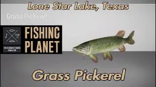 Путеводитель по озеру Лоун-Стар в Техасе (Grass Pickerel)