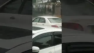 Rain in dadyal