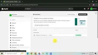Как добавить DNS-запись к домену Shopify