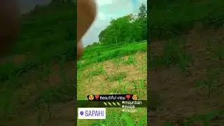 beautiful  😍❤️ views of maize 🌽🌽#farmer #kisaan #viralvideo #homemade #agriculture #farming #maize