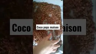 fait maison coco pops