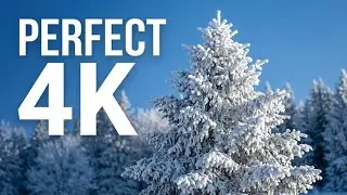 Winter Screensaver for TV | Calm Snowy Landscapes | 4 Hours