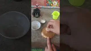 part-1 egg roll 😋 #song #trendingrecipes #trendingshorts #newsong #song #cooking#eggs #pushpa