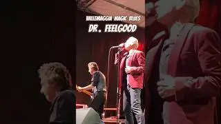 Dr. Feelgood live - You Don't Love Ме #drfeelgood  #pubrock #rhythmandblues