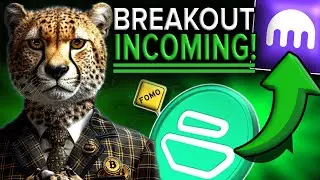 ZEBEC $ZBCN🔥&ndash; НОВЫЙ ЛИСТИНГ T1 + ЕЩЕ ОДНО КРУПНОЕ ПАРТНЕРСТВО! + НОВОСТИ АЛЬФА-ВЕРСИИ [2 428 000 ...