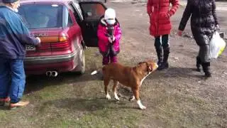 айфон4 22,11,2016 400