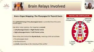 Anxiety - German Healing Knowledge