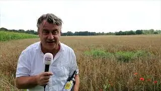 GraanGeluk verliest mogelijk stuk grond aan de provincie (XON Nieuws)