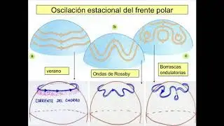 Frente polar