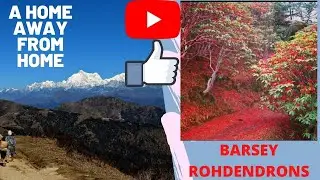 BARSEY RHODENDRONS NEAR THE HOME AWAY FROM HOME