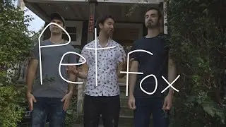 Pet Fox - an Allston Pudding Session