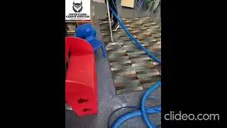 Brisbane Carpet Cleaning | Carpet Cleaning In Brisbane | Carpet Cleaning Brisbane