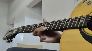 Radha A's Entry for She Shreds 2025