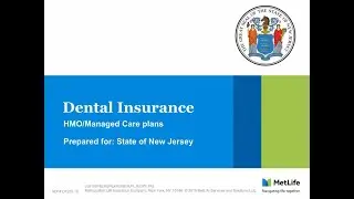MetLife Dental HMO