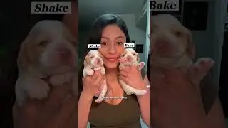 Кормим малышей! 🍼 #шорты