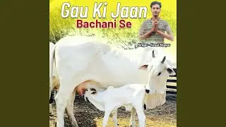 Gau Ki jaan Bachani Se