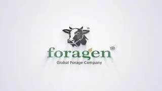 Foragen Seeds Logo